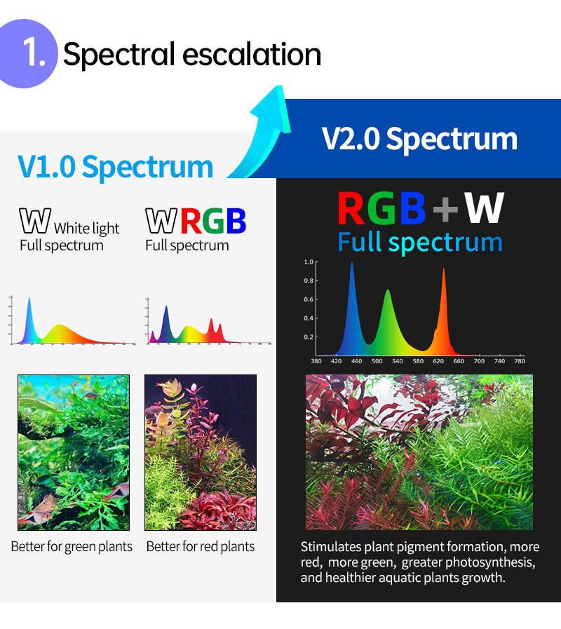 WEEK AQUA V Series Second Edition NEW – WEEK AQUA INTERNATIONAL 