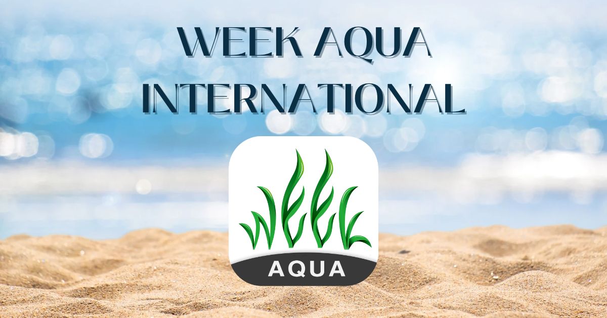 WEEK AQUA INTERNATIONAL