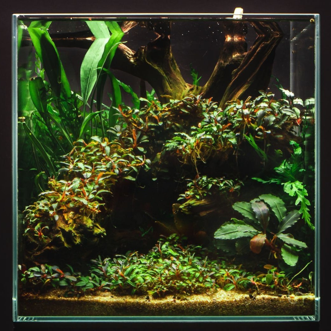 WEEK AQUA MINI 9 PRO RGB+UVA ARM MAG Aquarium Lightning【WEEK AQUA