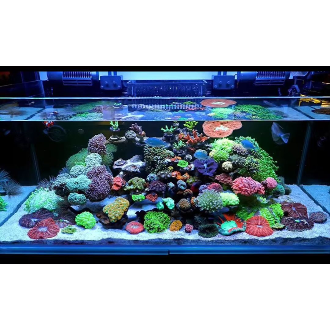 WEEK AQUA Z250 400 SEA Marine Aquarium Lightning【WEEK AQUA INTERNATIONAL】