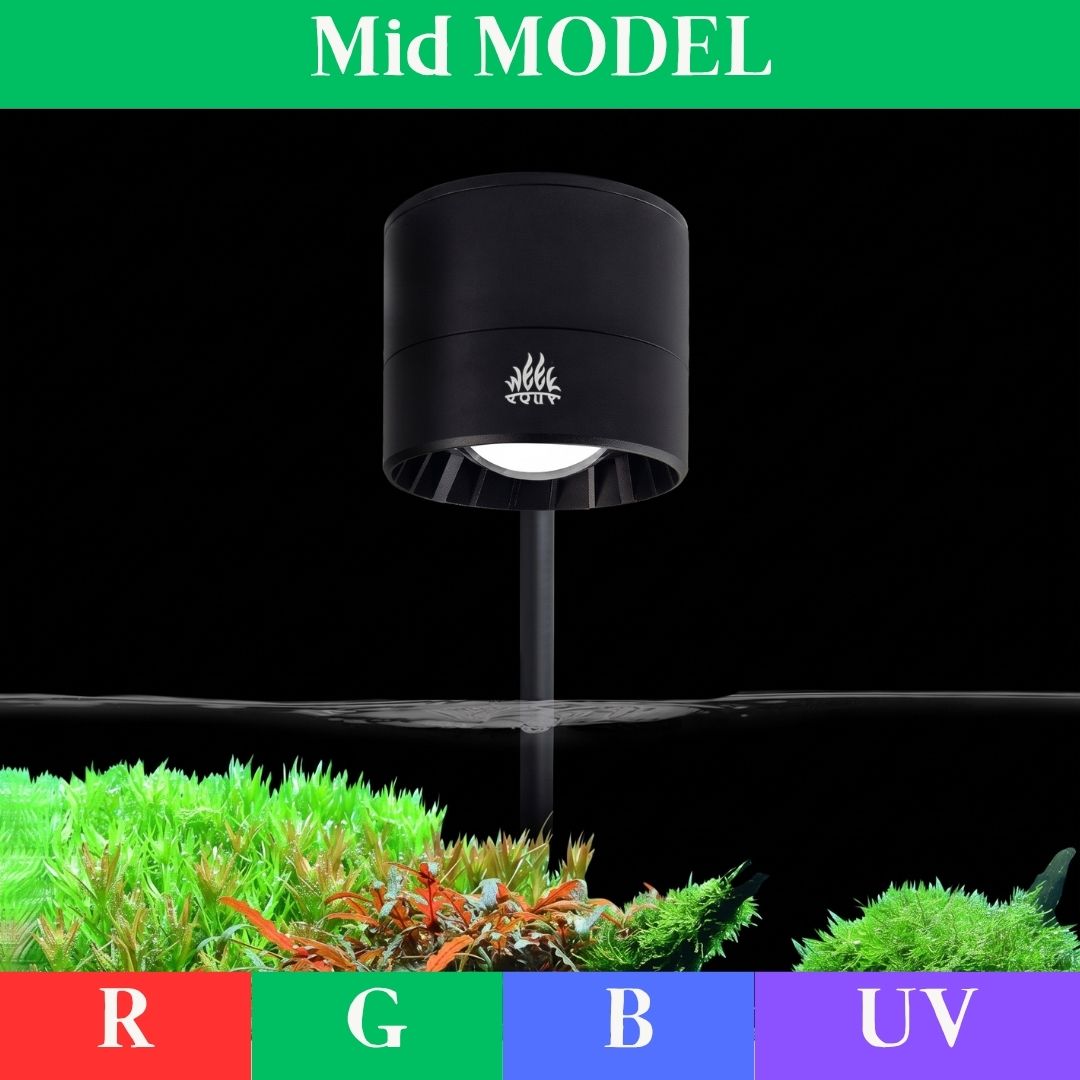 WEEK AQUA NEW T95 PRO RGB+UVA Aquarium Lightning NEW T90 MINI SPOT【WEEK AQUA INTERNATIONAL】
