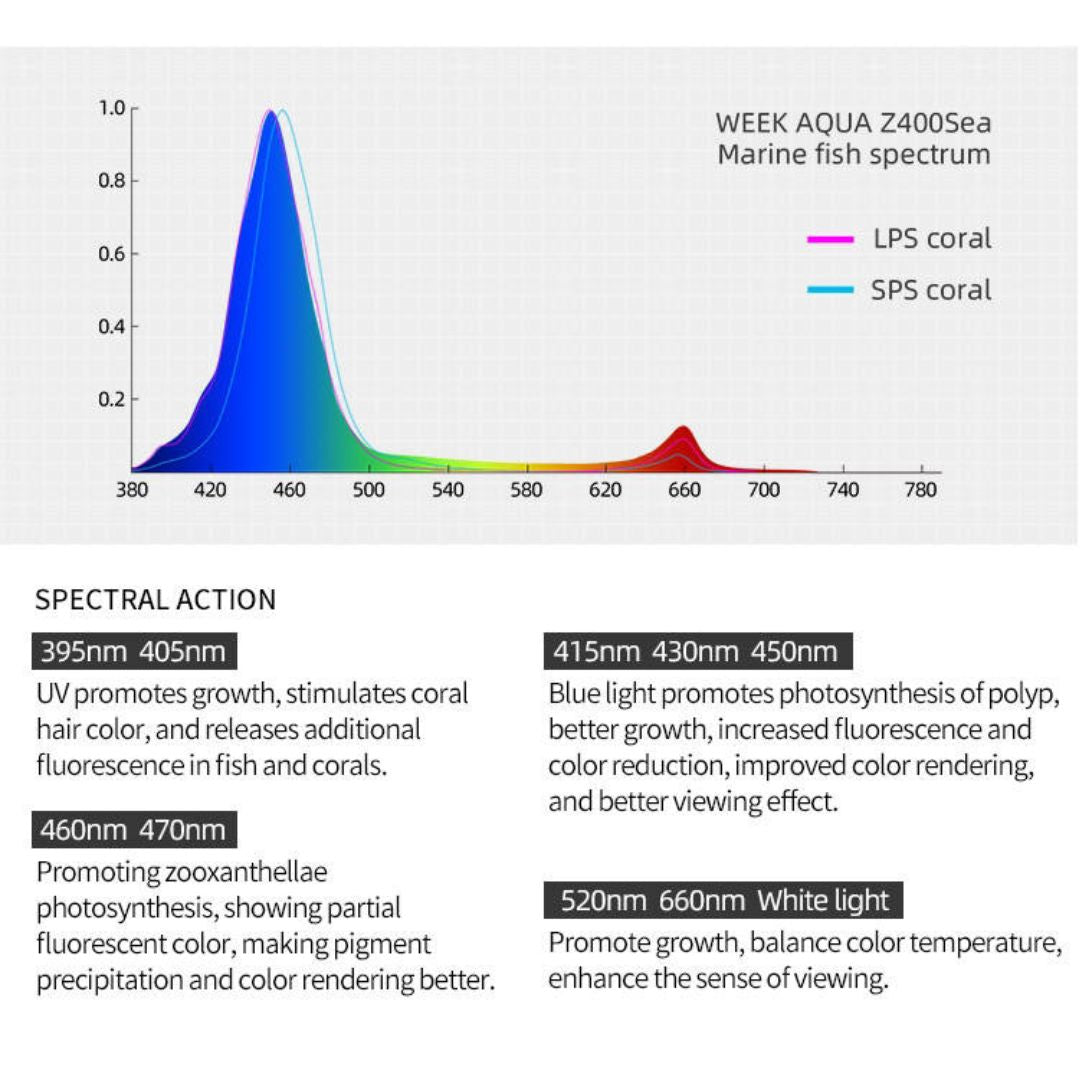 WEEK AQUA Z250 400 SEA SE Marine Aquarium Lightning【WEEK AQUA INTERNATIONAL】