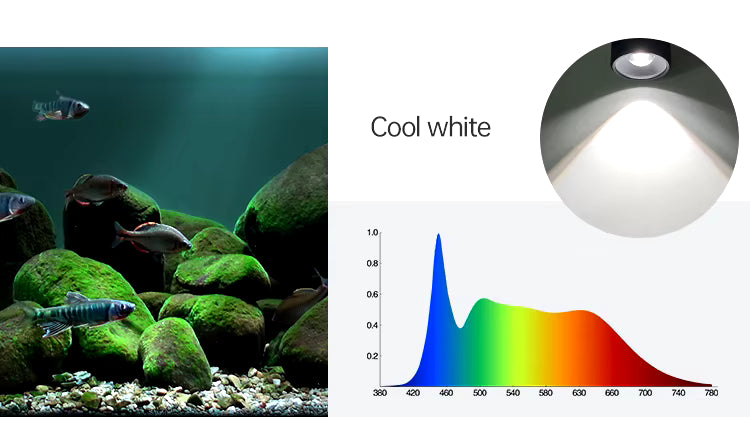 WEEK AQUA MINI 7-O CW+WW Aquarium Lightning【WEEK AQUA INTERNATIONAL】
