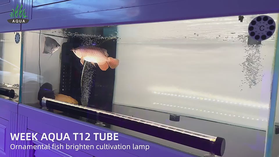 WEEK AQUA NEW T12 TUBE Aquarium Lightning【WEEK AQUA INTERNATIONAL