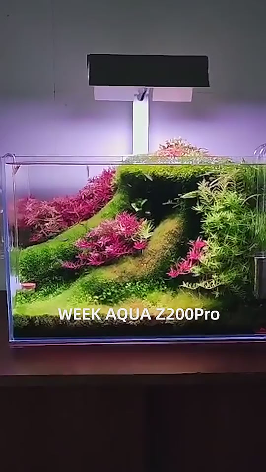 WEEK AQUA NEW Z200 Series WRGB RGB UVA Aquarium Lightning【WEEK 