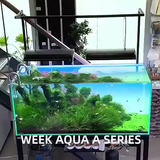 WEEK AQUA A430 PRO RGB+UVA Aquarium Lightning【WEEK AQUA 